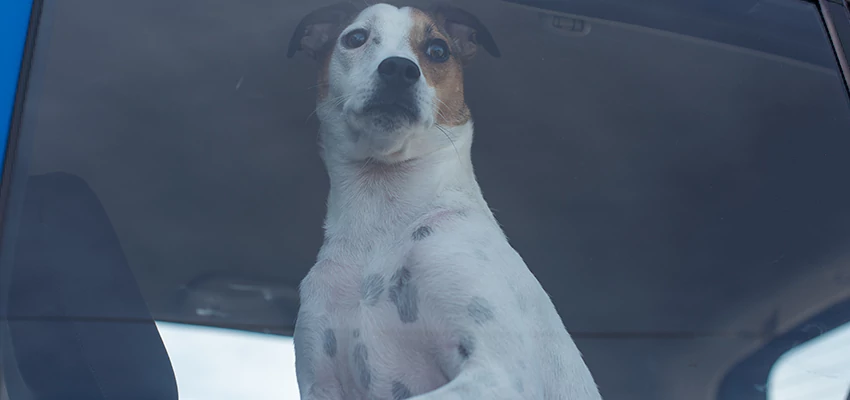 Car Lockout Solutions in Patterson, California